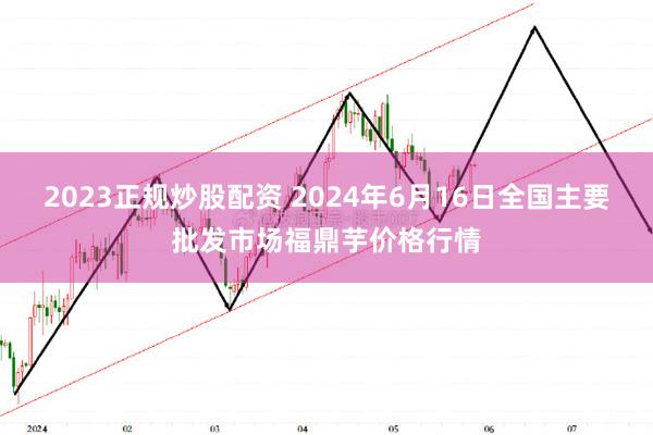 2023正规炒股配资 2024年6月16日全国主要批发市场福鼎芋价格行情