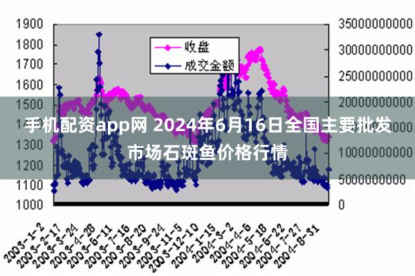 手机配资app网 2024年6月16日全国主要批发市场石斑鱼价格行情