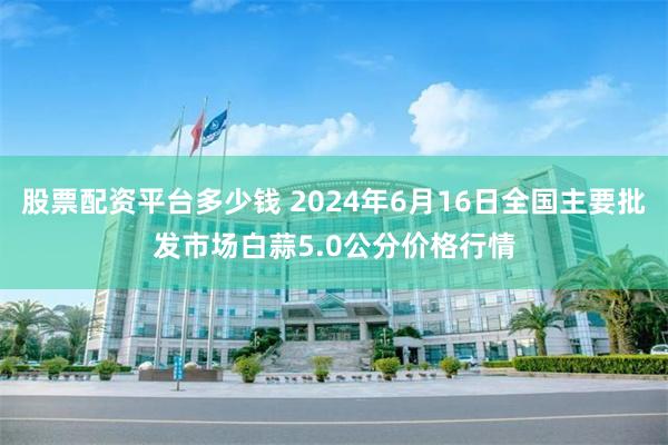 股票配资平台多少钱 2024年6月16日全国主要批发市场白蒜5.0公分价格行情