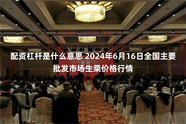 配资杠杆是什么意思 2024年6月16日全国主要批发市场生菜价格行情