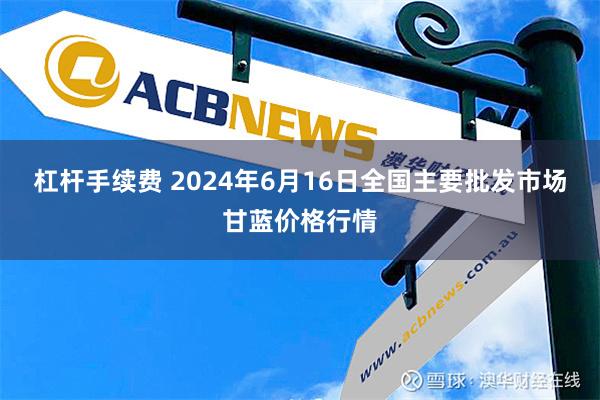 杠杆手续费 2024年6月16日全国主要批发市场甘蓝价格行情