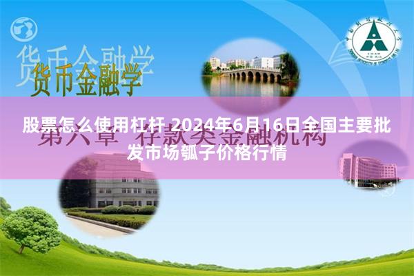 股票怎么使用杠杆 2024年6月16日全国主要批发市场瓠子价格行情