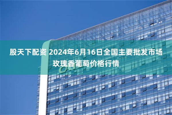 股天下配资 2024年6月16日全国主要批发市场玫瑰香葡萄价格行情