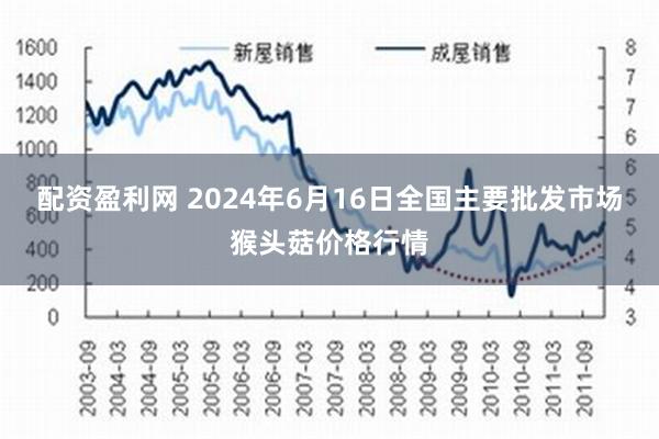 配资盈利网 2024年6月16日全国主要批发市场猴头菇价格行情