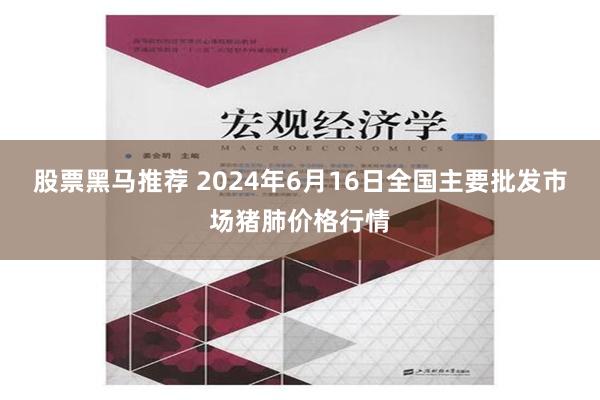 股票黑马推荐 2024年6月16日全国主要批发市场猪肺价格行情