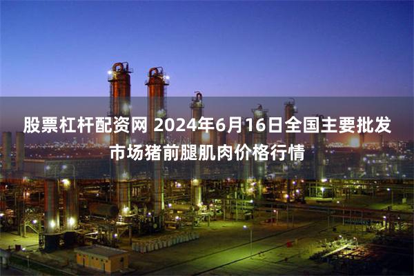 股票杠杆配资网 2024年6月16日全国主要批发市场猪前腿肌肉价格行情