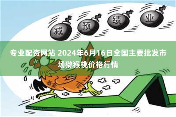 专业配资网站 2024年6月16日全国主要批发市场猕猴桃价格行情