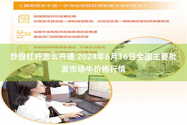 炒股杠杆怎么开通 2024年6月16日全国主要批发市场牛价格行情