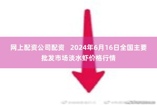 网上配资公司配资   2024年6月16日全国主要批发市场淡水虾价格行情