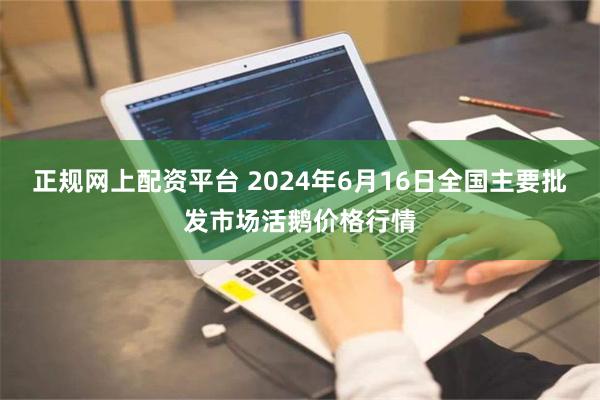 正规网上配资平台 2024年6月16日全国主要批发市场活鹅价格行情