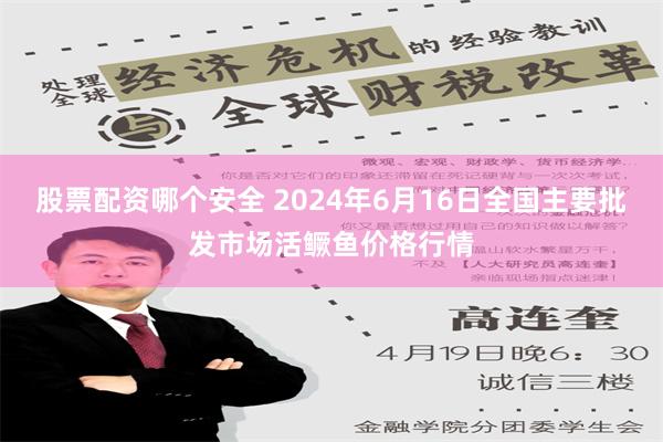 股票配资哪个安全 2024年6月16日全国主要批发市场活鳜鱼价格行情