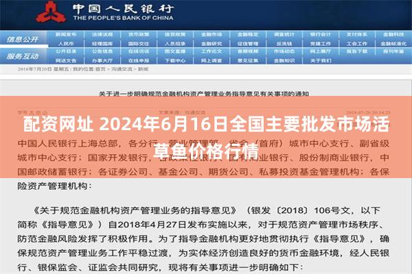 配资网址 2024年6月16日全国主要批发市场活草鱼价格行情