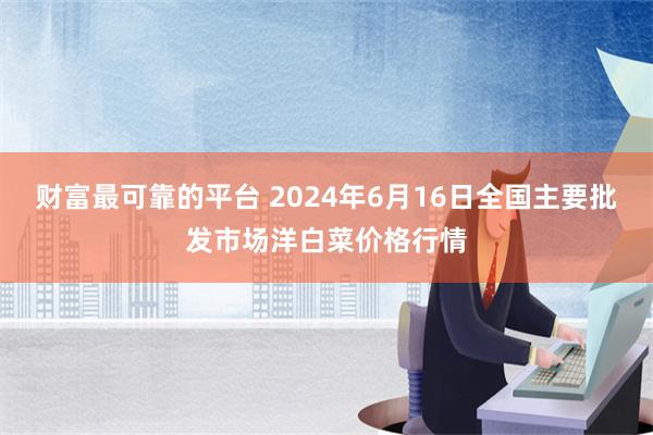 财富最可靠的平台 2024年6月16日全国主要批发市场洋白菜价格行情