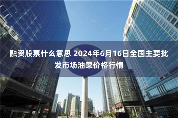 融资股票什么意思 2024年6月16日全国主要批发市场油菜价格行情