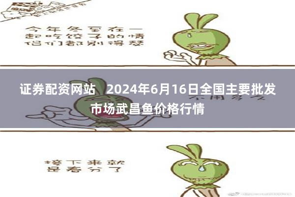 证券配资网站   2024年6月16日全国主要批发市场武昌鱼价格行情