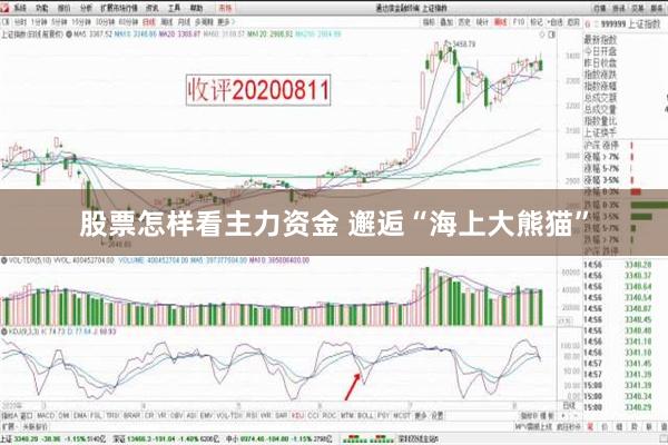 股票怎样看主力资金 邂逅“海上大熊猫”