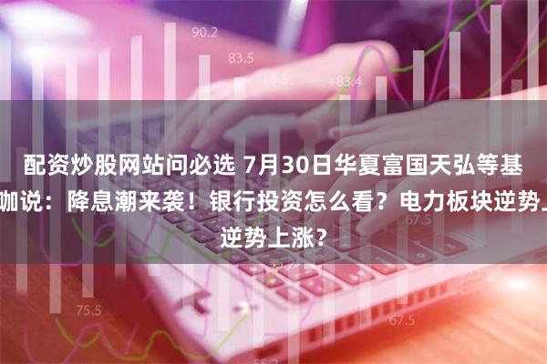 配资炒股网站问必选 7月30日华夏富国天弘等基金大咖说：降息潮来袭！银行投资怎么看？电力板块逆势上涨？