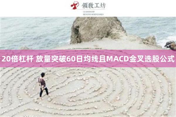 20倍杠杆 放量突破60日均线且MACD金叉选股公式