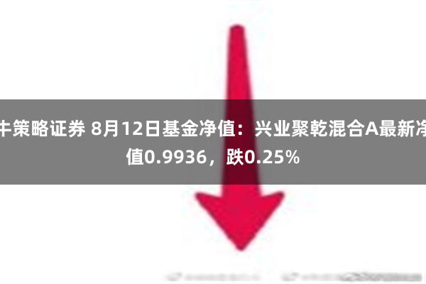 牛策略证券 8月12日基金净值：兴业聚乾混合A最新净值0.9936，跌0.25%